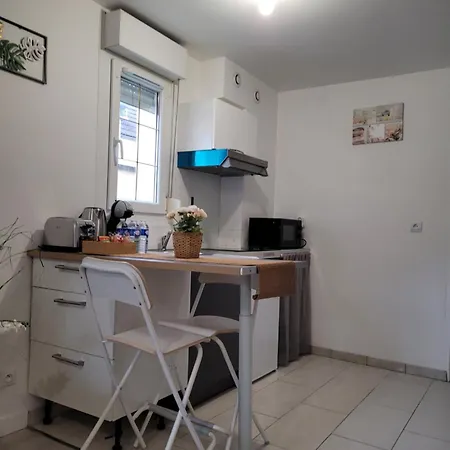 Cocooning House 204 Green- Superb Aeroport Paris Roissy Cdg, Parc Asterix, Chateau De Chantilly, Stade De France Survilliers