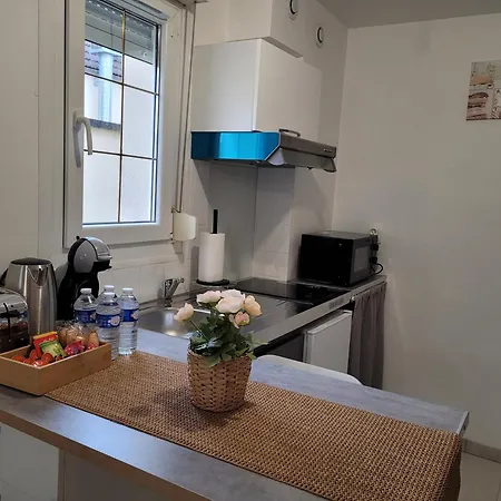 Cocooning House 204 Green- Superb Aeroport Paris Roissy Cdg, Parc Asterix, Chateau De Chantilly, Stade De France * Survilliers